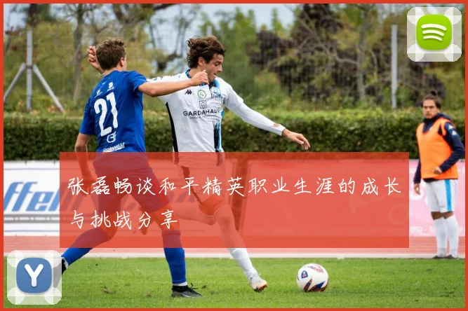 张磊畅谈和平精英职业生涯的成长与挑战分享